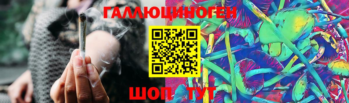 Псилоцибиновые грибы GOLDEN TEACHER Ахтубинск
